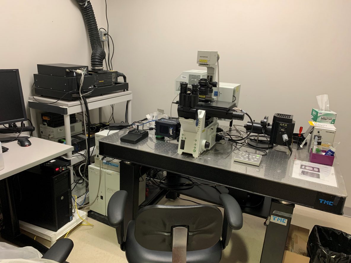 Olympus Fv1000 Confocal Microscope Microscopy And Imaging Center